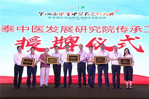 90張圖,速覽大典暨葉開泰中醫(yī)藥文化街區(qū)開街活動(dòng)精彩瞬間